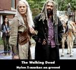 The Walking Dead mistake picture