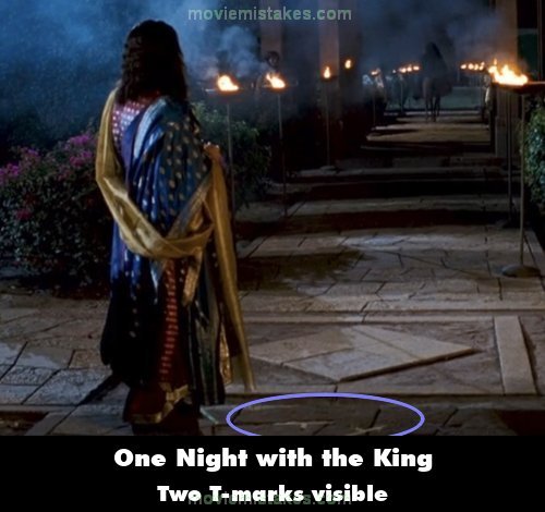 One Night with the King mistake picture