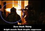 Zero Dark Thirty mistake picture