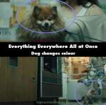Everything Everywhere All at Once mistake picture