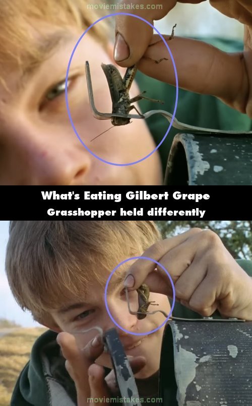 What's Eating Gilbert Grape mistake picture