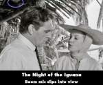 The Night of the Iguana mistake picture