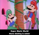 Super Mario World mistake picture