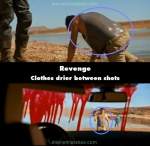 Revenge mistake picture