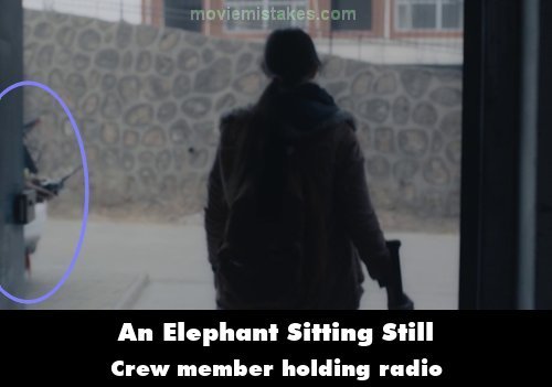 An Elephant Sitting Still mistake picture