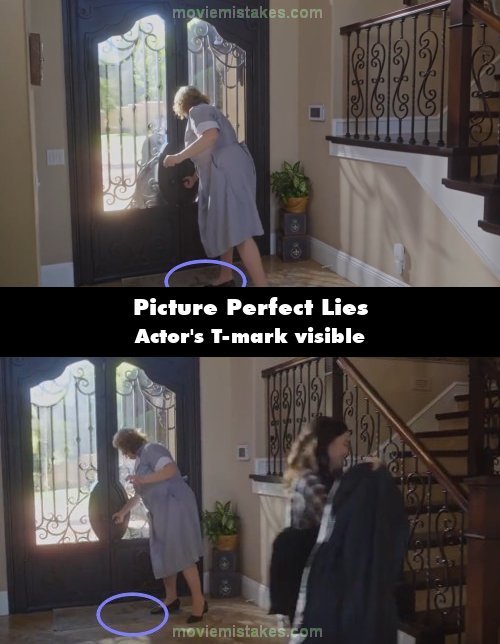 Picture Perfect Lies picture
