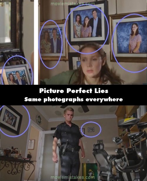 Picture Perfect Lies picture