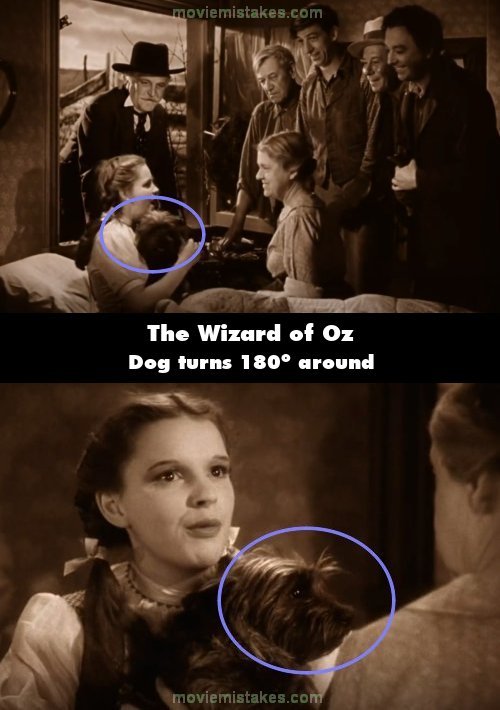 The Wizard of Oz picture