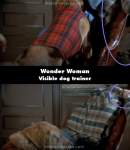 Wonder Woman mistake picture