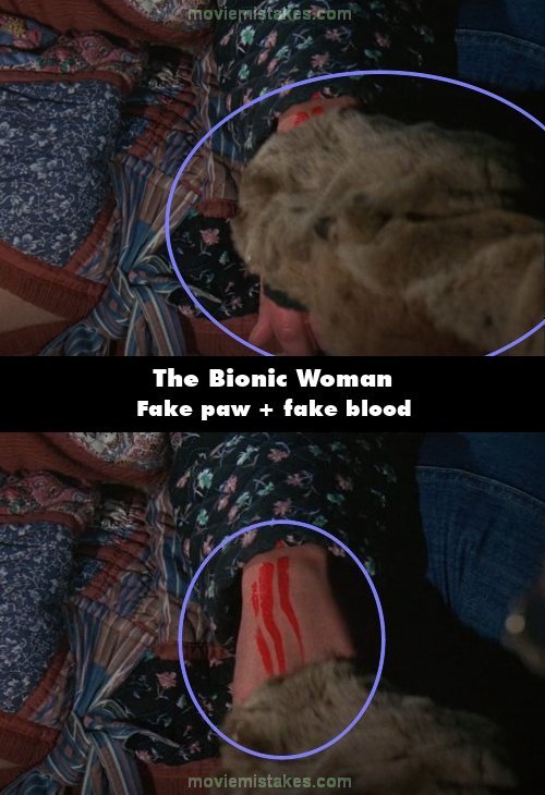 The Bionic Woman picture