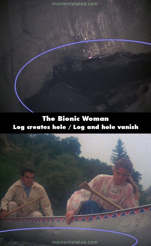 The Bionic Woman picture