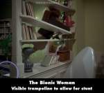 The Bionic Woman mistake picture