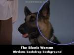 The Bionic Woman mistake picture