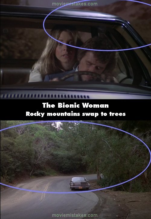 The Bionic Woman picture