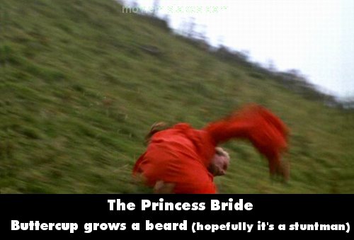 The Princess Bride mistake picture