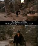 The Princess Bride mistake picture