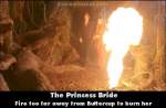 The Princess Bride mistake picture