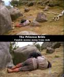 The Princess Bride mistake picture