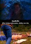 Smallville mistake picture