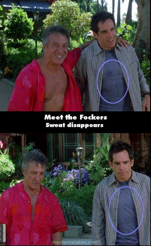 Meet the Fockers picture