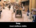 Troy mistake picture