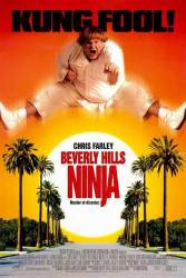Beverly Hills Ninja picture
