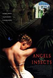 Angels and Insects picture