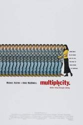 Multiplicity picture