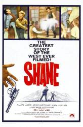 Shane picture