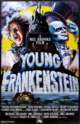 Young Frankenstein picture