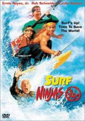 Surf Ninjas picture