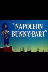 Napoleon Bunny-Part picture