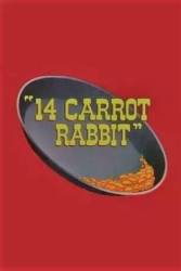 14 Carrot Rabbit picture