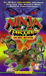 Saban's Ninja Turtles: The Next Mutation picture
