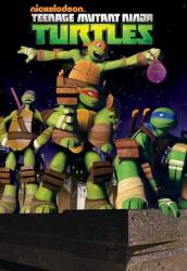 Teenage Mutant Ninja Turtles picture