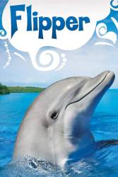 Flipper picture