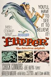 Flipper picture