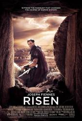 Risen picture