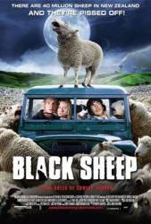 Black Sheep picture