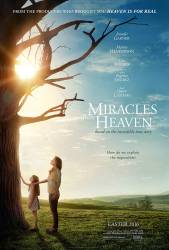 Miracles from Heaven picture