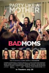 Bad Moms picture