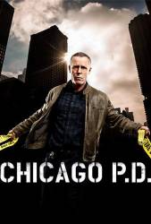 Chicago P.D. picture