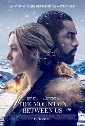 The Mountain Between Us picture
