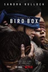 Bird Box picture