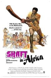 Shaft in Africa picture