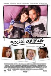 Social Animals picture