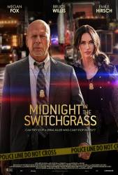 Midnight in the Switchgrass picture