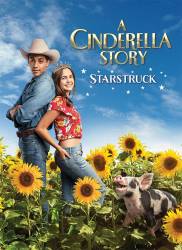 A Cinderella Story: Starstruck picture