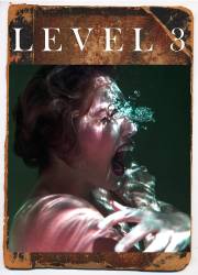 Level 3 picture