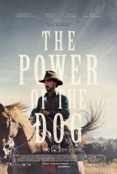 The Power of the Dog picture